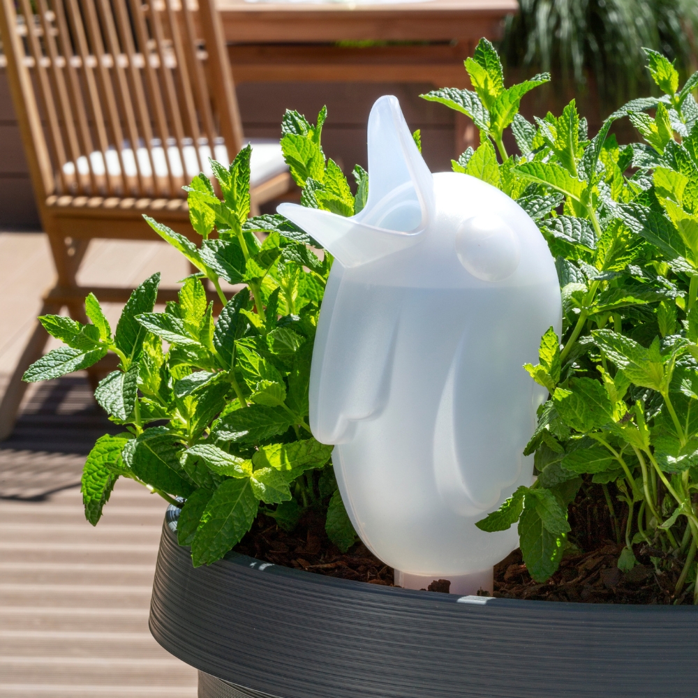 category top image 3