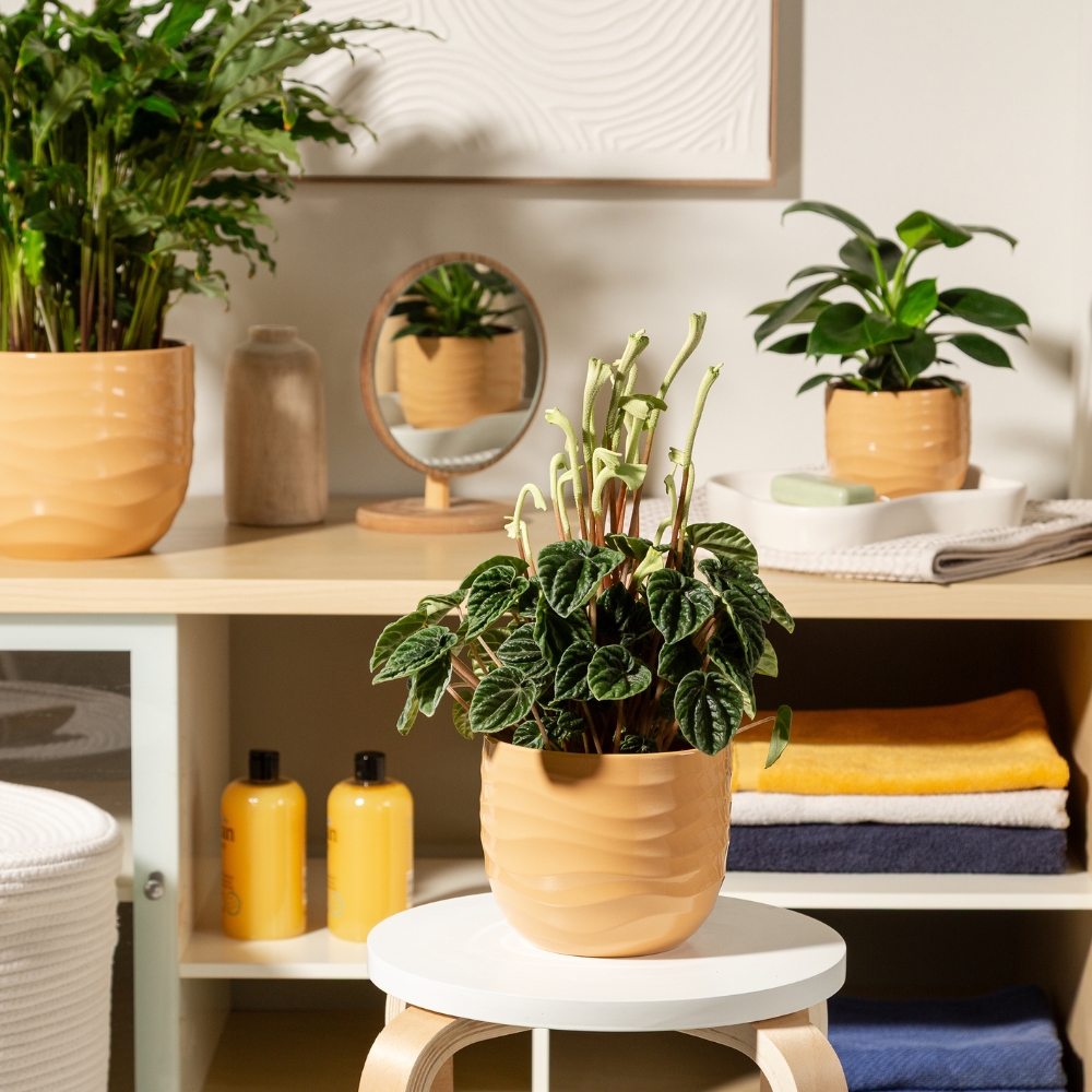 category top image 1