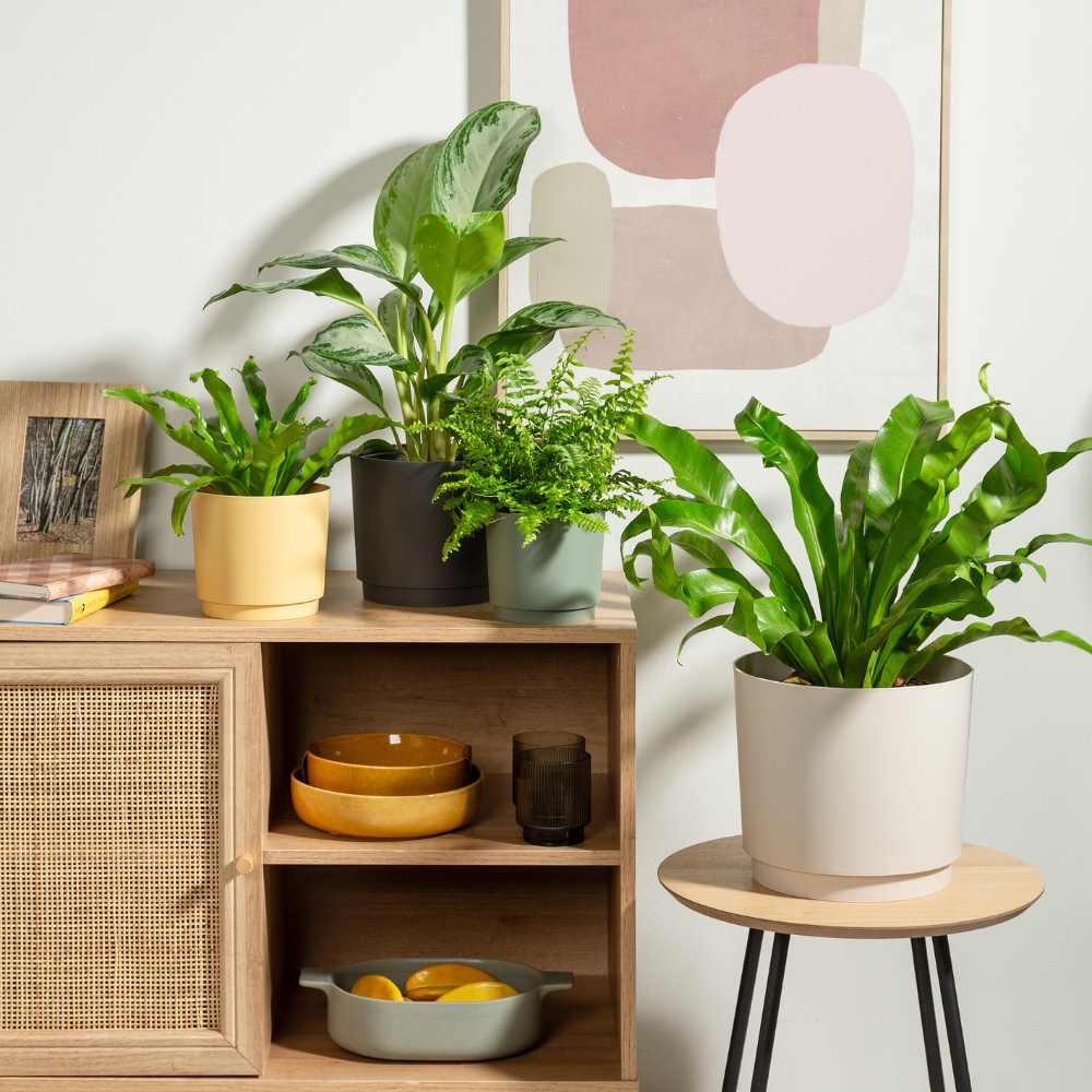 category top image 3