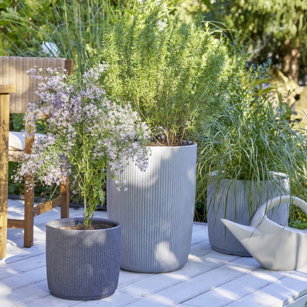 category top image 1