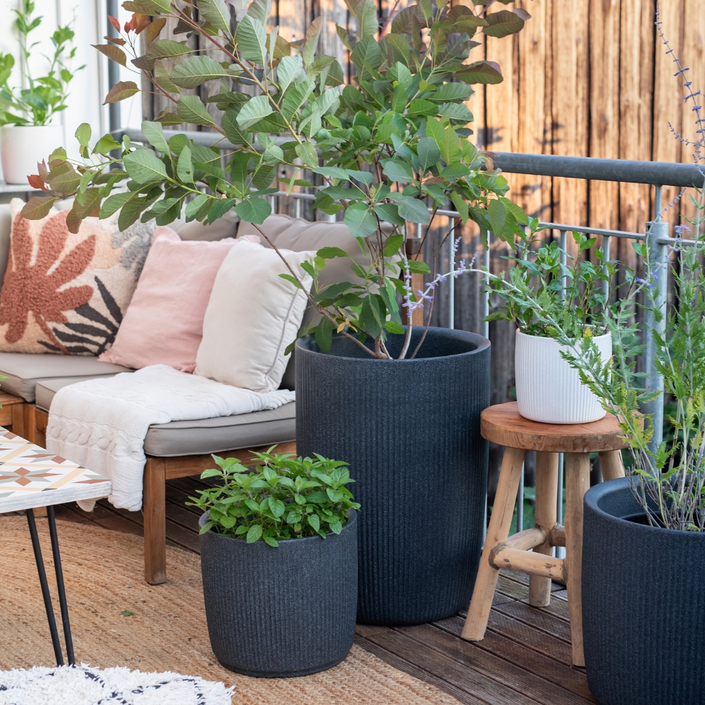 category top image 3