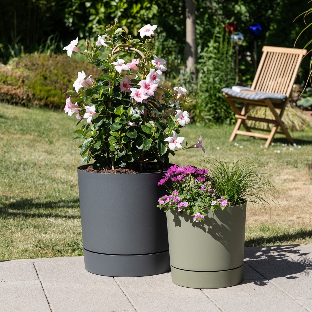 category top image 2