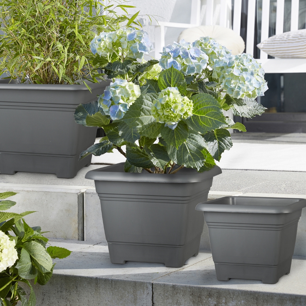 category top image 3