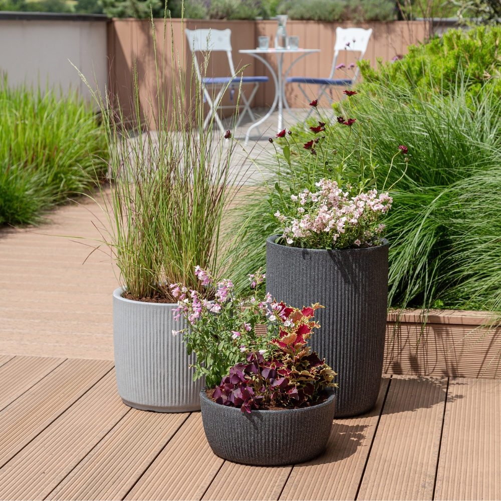 category top image 3