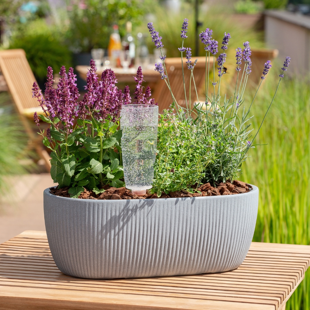 category top image 2