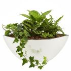 Mirror Silver Pflanzschale oval 431 FUNDSTÜCK