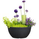 Barceo Bowl Pflanzschale rund