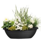 Country Star Jardiniere Pflanzschale oval