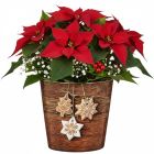 Gingerbread Übertopf 778 FUNDSTÜCK