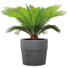 Groove⁺ Planter with Reservoir