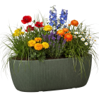 Linetto Jardiniere