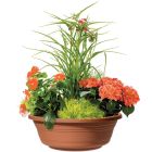 Jessica Pflanzschale