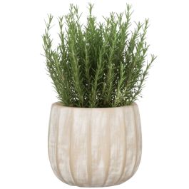 Natural Surfaces bertopf 784 | Scheurich Shop