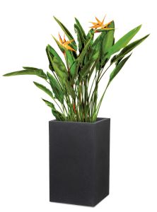 C-Cube High Pflanzgefäß