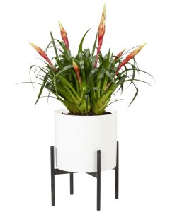 Pedestal Blumenständer
