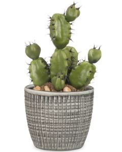 Corteza Übertopf 866 Scheurich Shop