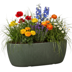 Linetto Jardiniere