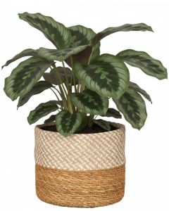 Korbtopf 510 aus Seegras