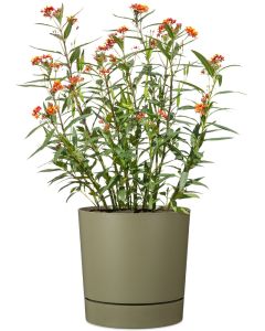 PLANO+ Pflanzgefäß