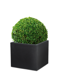 C-Cube Pflanzgefäß 240 Scheurich Shop