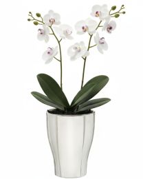 Mirror Silver Orchideentopf FUNDSTÜCK