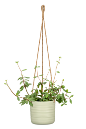 Hanging Flower Pot Series 450