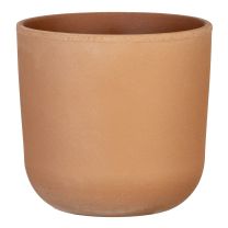 La Natura Übertopf 982 Scheurich Shop