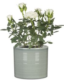 828 Übertopf