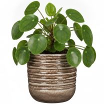 Scheurich Rustic Clay Blumentopf Ambientebild