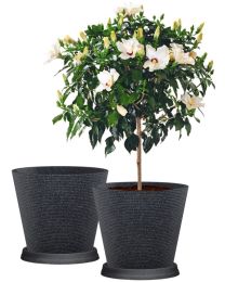 Coneo 2er Blumentopf Set mit Untersetzern - Schwarz-Granit