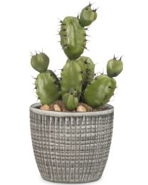 Corteza Übertopf 866 Scheurich Shop