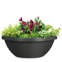 Country Star Pflanzschale rund 276 Scheurich Shop