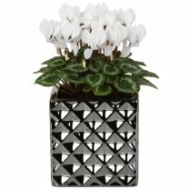 Crystal Übertopf FUNDSTÜCK