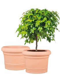 Formia 2er-Set Blumentöpfe - Terracotta