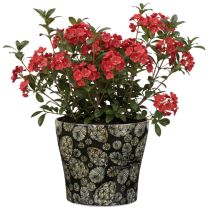 Royal Glimmer Übertopf 808 FUNDSTÜCK