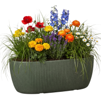 Linetto Jardiniere