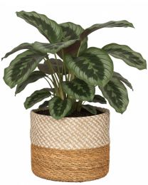 Korbtopf 510 aus Seegras