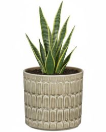 Lagom Übertopf 878 Scheurich Shop