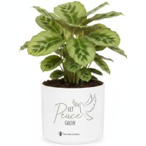 Scheurich Blumentopf Save the Children Peace Edition