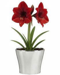 Mirror Silver Übertopf FUNDSTÜCK