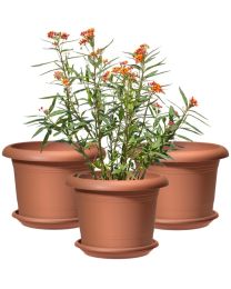 Oliver 3er-Set Blumentöpfe mit Untersetzern - Terracotta