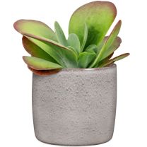 Solido Flower Pot