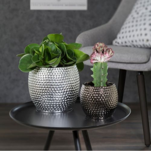 Blumentöpfe im Mirror Silver Design | Scheurich Online Shop