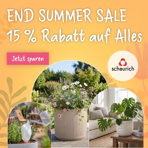 Scheurich Summer Sale