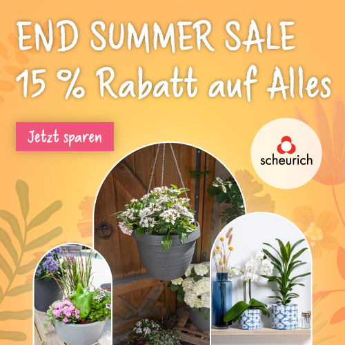 Scheurich Summer Sale