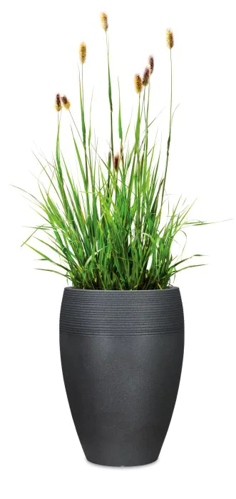 üppige blumenkästen Balkonbox Royal White kaufen main image 1